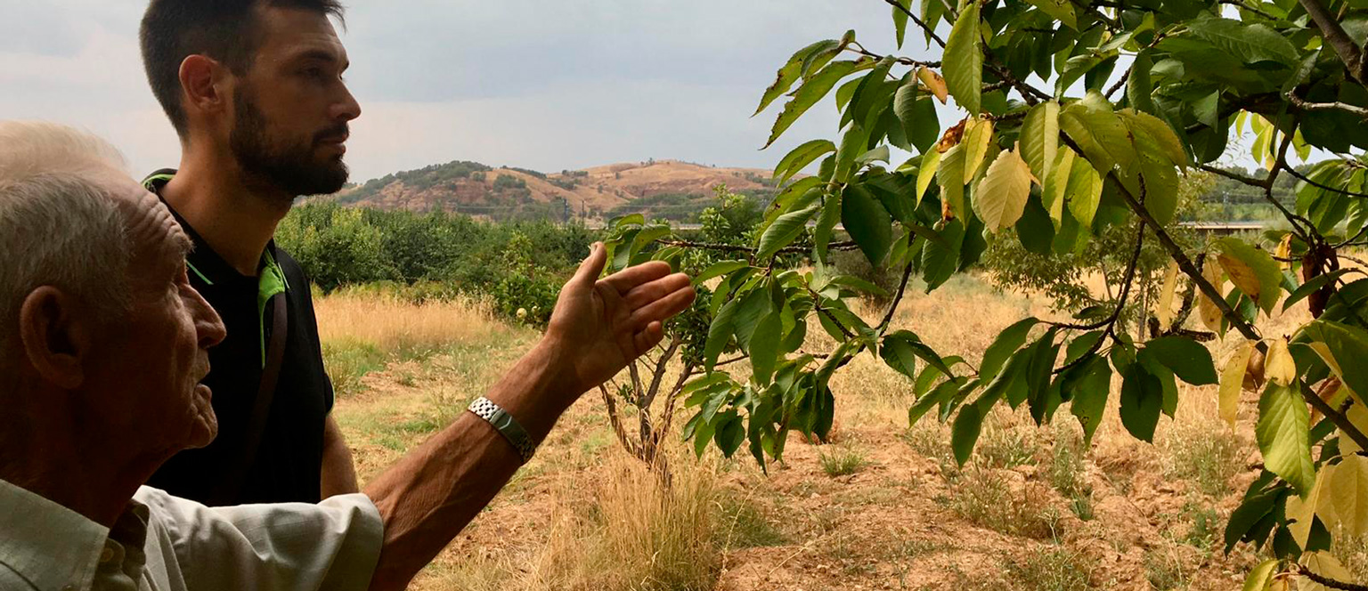 Los Frutos del Tiempo – Estoesloquehay