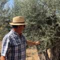 Chusé y la historia de una vida entre olivos